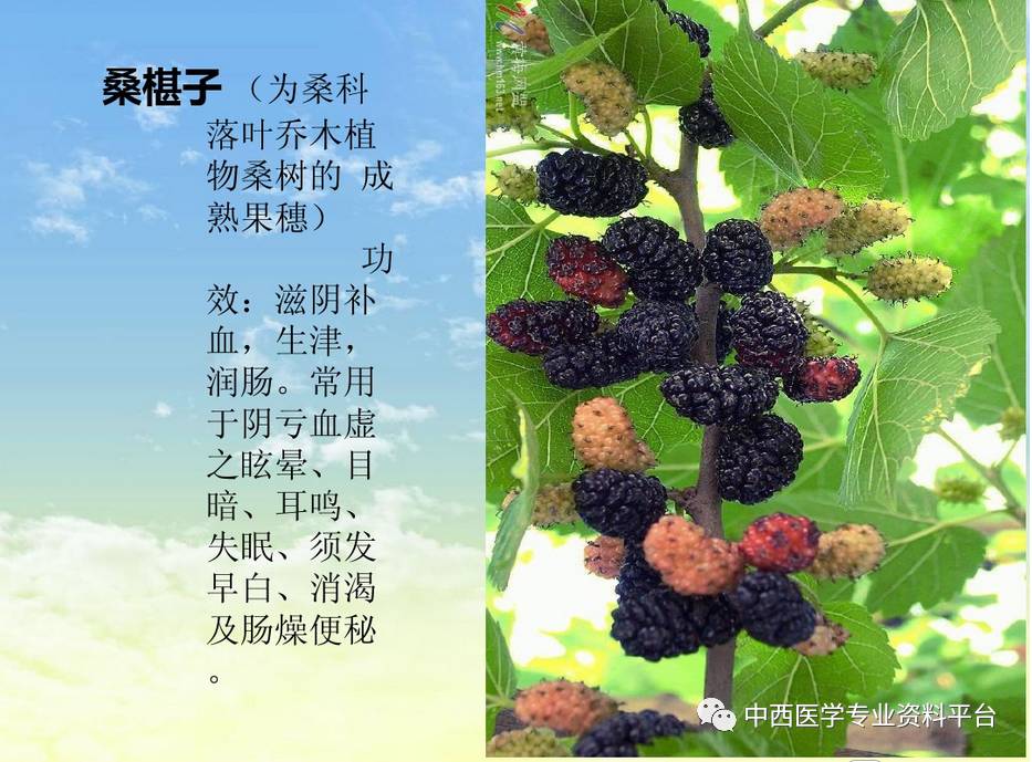 常见中草药图片及功效介绍