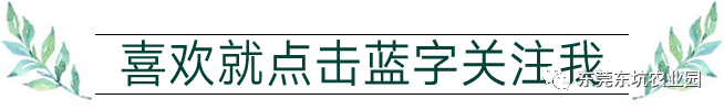 农业科普动态_农业科普展示内容_农业科普宣传栏/