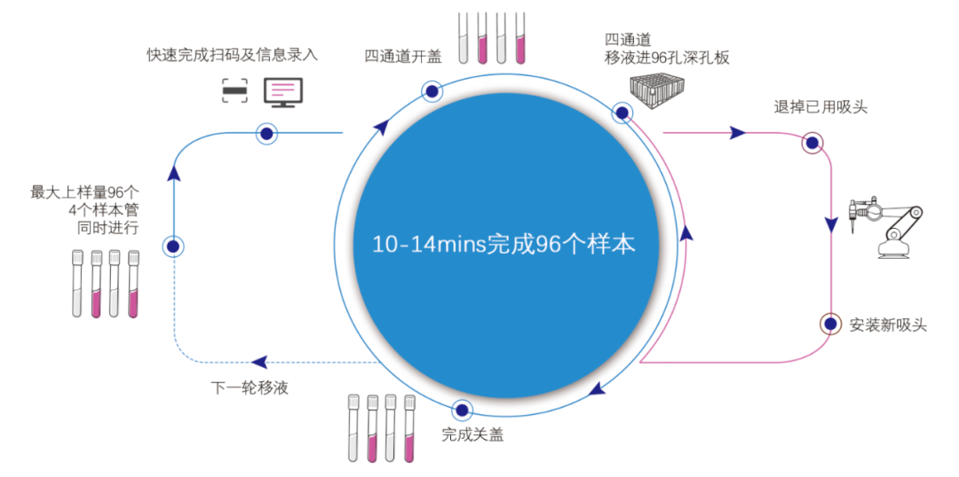 百泰克分杯处理系统丨四通道，超快速，精准实现十合一采样管样本分装！