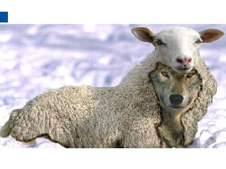 dmg口腔材料怎么使用德国DMG  Icon 渗透树脂，应该这样用……_https://www.jmylbn.com_新闻资讯_第47张