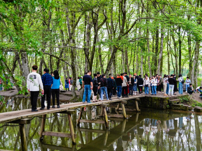 大美无言，自在皖南！