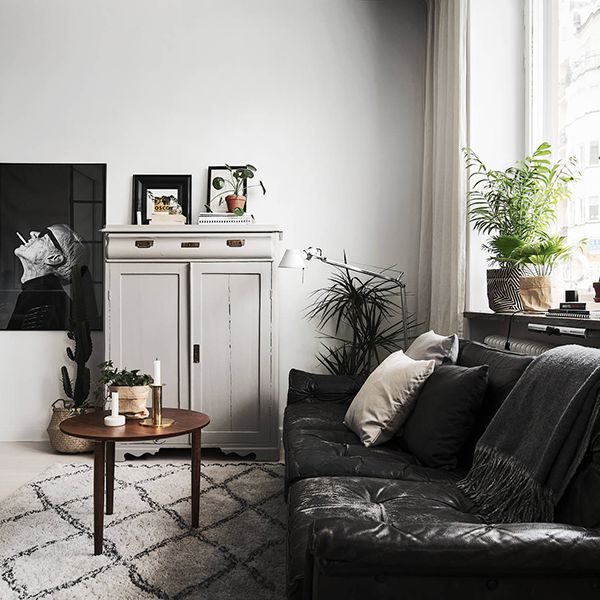 綠植滿屋，這樣的家居春來早！ 家居 第14張