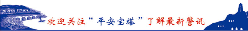 抗击疫情 宝塔公安在行动丨宝塔分局快速查处一起利用网络发布不良言论寻衅滋事案