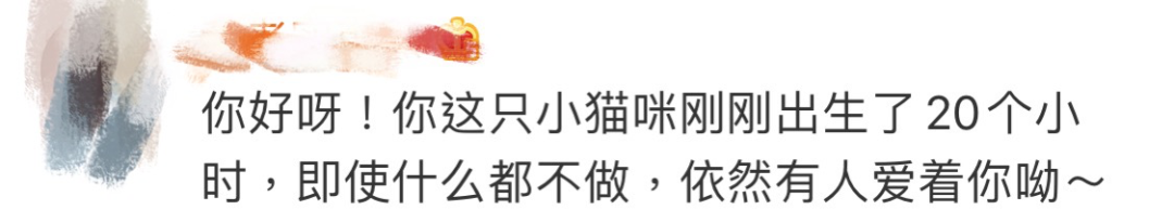 从自杀的大连理工硕士到抑郁频发的留学生：人生迈不过去的坎，可以不迈的（组图） - 18