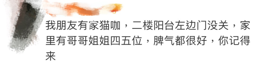 从自杀的大连理工硕士到抑郁频发的留学生：人生迈不过去的坎，可以不迈的（组图） - 16