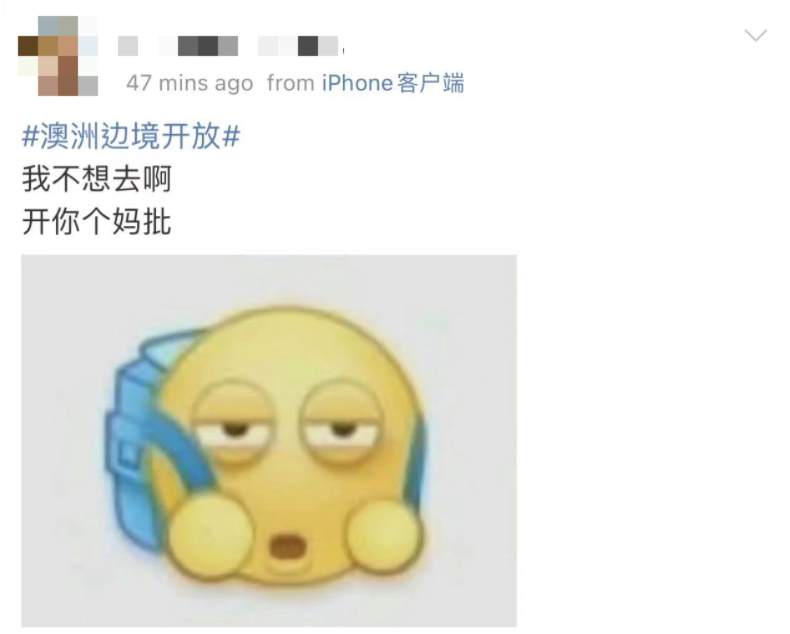 两年了，澳洲留学生终于能回去读书了，然而...（图） - 8
