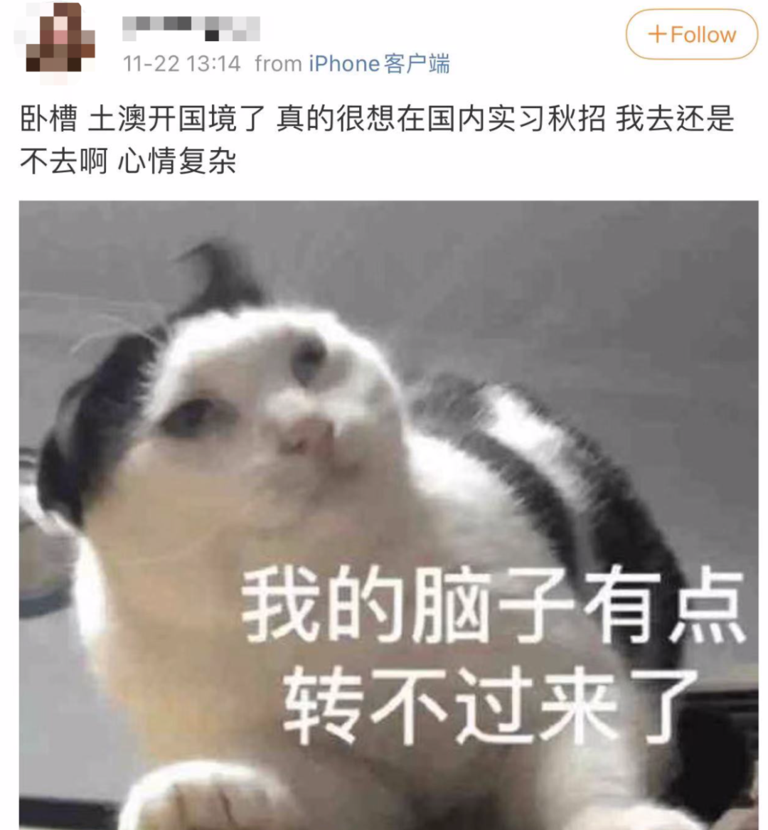 两年了，澳洲留学生终于能回去读书了，然而...（图） - 11