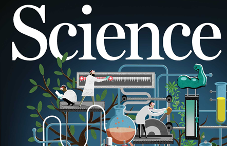 2020年Nature/Science氣凝膠回顧展：世界上最輕的固體材料的圖3