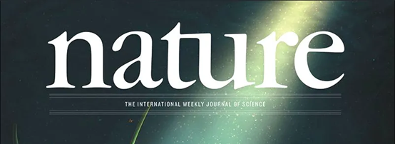 2020年Nature/Science氣凝膠回顧展：世界上最輕的固體材料的圖1