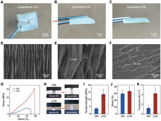 《AFM》中科大高怀岭/俞书宏院士、同济王佐林：仿生层状壳聚糖支架用于软牙龈组织再生的图3