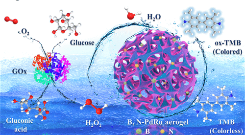 《ACS AMI》成都信工大李贺：B,N 掺杂 PdRu 气凝胶灵敏检测葡萄糖的图2