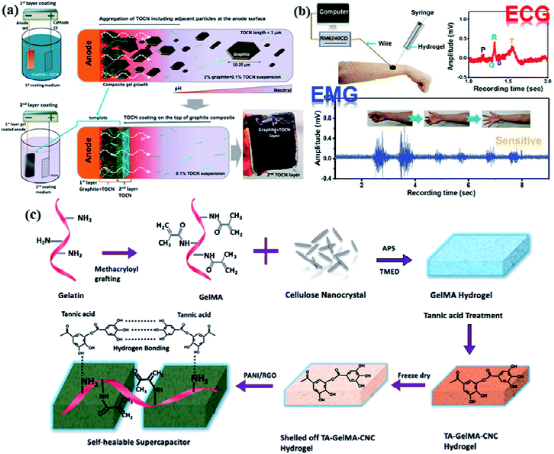 津科大刘苇/倪永浩院士综述:高性能木质纤维素衍生的水凝胶/气凝胶基柔性准固态超级电容器的图9