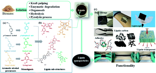 津科大刘苇/倪永浩院士综述:高性能木质纤维素衍生的水凝胶/气凝胶基柔性准固态超级电容器的图6