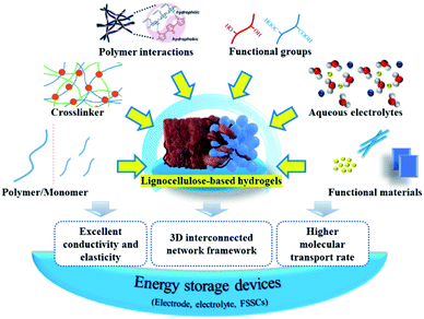 津科大刘苇/倪永浩院士综述:高性能木质纤维素衍生的水凝胶/气凝胶基柔性准固态超级电容器的图8
