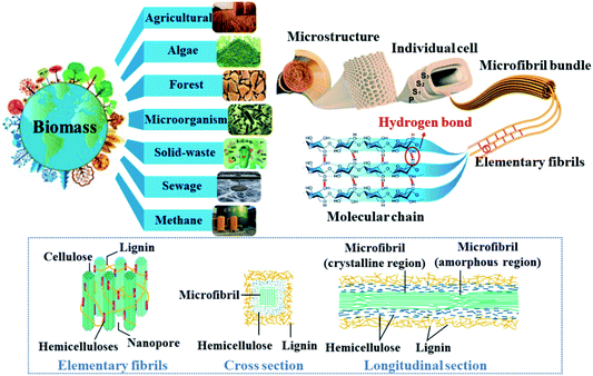 津科大刘苇/倪永浩院士综述:高性能木质纤维素衍生的水凝胶/气凝胶基柔性准固态超级电容器的图3