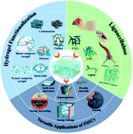 津科大刘苇/倪永浩院士综述:高性能木质纤维素衍生的水凝胶/气凝胶基柔性准固态超级电容器的图1