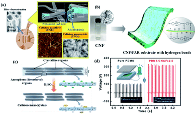 津科大刘苇/倪永浩院士综述:高性能木质纤维素衍生的水凝胶/气凝胶基柔性准固态超级电容器的图4
