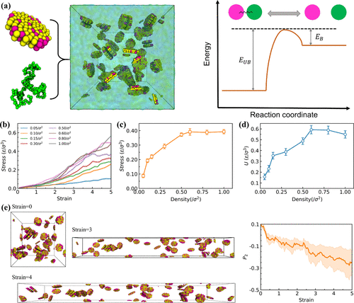 《Langmuir》福師大丁富傳、康涅狄格大學孫陸逸：受鉤-環緊固件啟發的超級可拉伸和可壓縮水凝膠的圖6