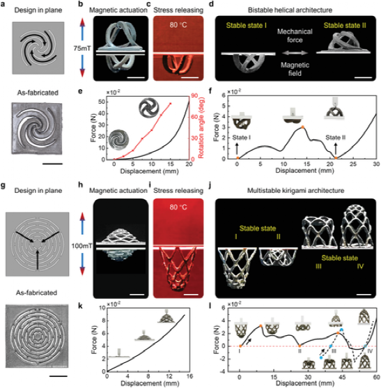俄亥俄赵芮可《AM》磁性动态高分子聚合物用于模块化组装和可重构变形架构的图6