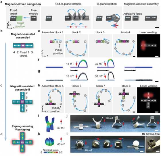 俄亥俄赵芮可《AM》磁性动态高分子聚合物用于模块化组装和可重构变形架构的图7