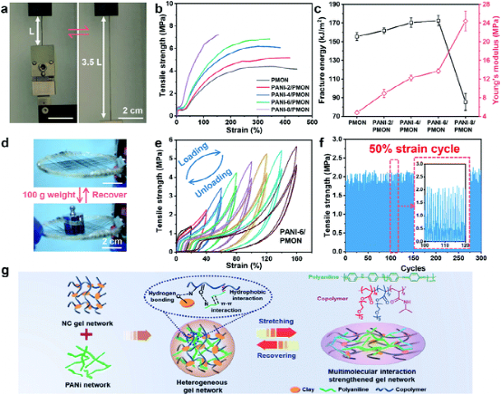 东华大学侯恺/朱美芳院士《JMCA》异构/坚韧/稳定/导电/凝胶纤维基可穿戴应变传感器的图5