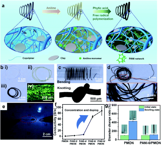 东华大学侯恺/朱美芳院士《JMCA》异构/坚韧/稳定/导电/凝胶纤维基可穿戴应变传感器的图3