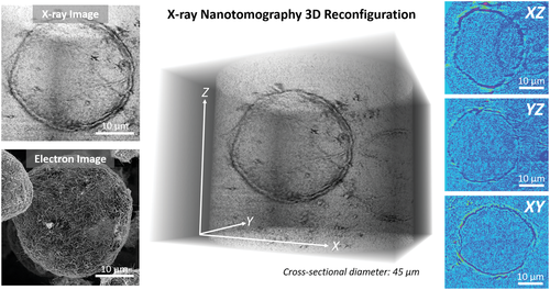 利兹大学《AM》多模态孔隙率/增强催化/微笼碳纳米管气凝胶的图6