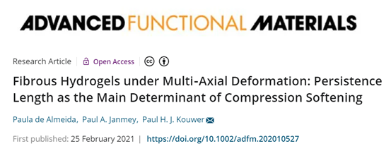快訊！拉德堡德大學《AFM》多軸變形下的纖維狀水凝膠：持久長度是壓縮軟化的主要決定因素的圖1