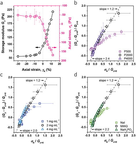 快訊！拉德堡德大學《AFM》多軸變形下的纖維狀水凝膠：持久長度是壓縮軟化的主要決定因素的圖5