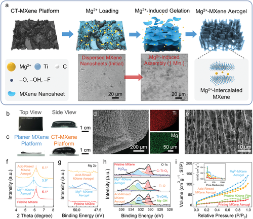 《AEM》马里兰大学：金属离子诱导 MXene 气凝胶组装，用于电磁干扰屏蔽、电容去离子和微型超级电容器的图3