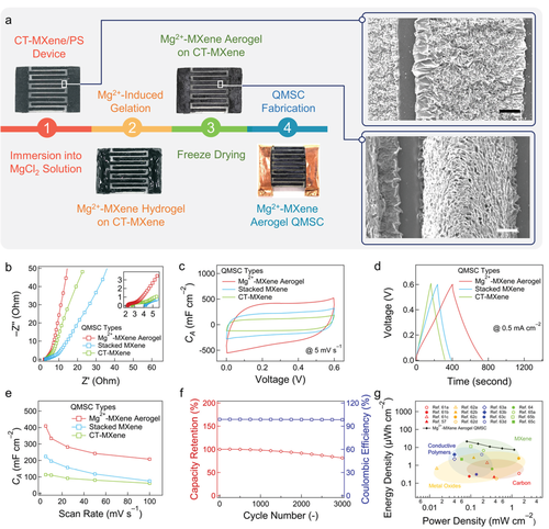 《AEM》马里兰大学：金属离子诱导 MXene 气凝胶组装，用于电磁干扰屏蔽、电容去离子和微型超级电容器的图5