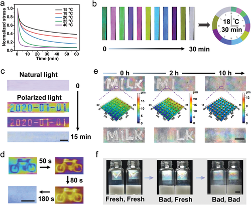 《AM》浙江大学谢涛：超分子形状记忆聚合物凝胶网络的自主非平衡变形途径的图4