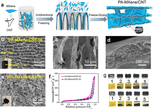 清华大学吕伟《AFM》三明治碳纳米管层状MXene复合气凝胶，实现高硫负载的稳定锂硫电池的图2