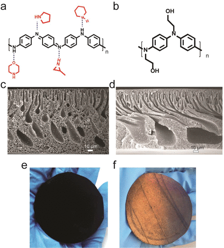 《Nano Letters·综述》国立东华大学黄淑娟：防污超滤膜聚苯胺：解决方案和挑战的图5