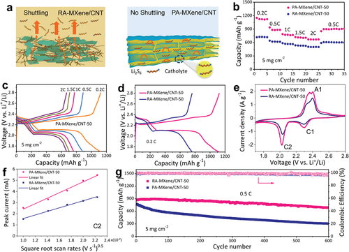 清华大学吕伟《AFM》三明治碳纳米管层状MXene复合气凝胶，实现高硫负载的稳定锂硫电池的图3
