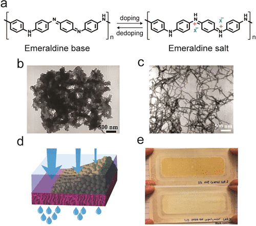 《Nano Letters·综述》国立东华大学黄淑娟：防污超滤膜聚苯胺：解决方案和挑战的图3