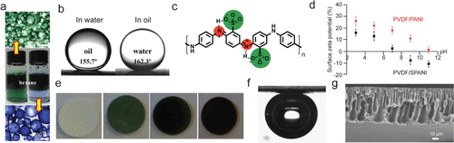 《Nano Letters·综述》国立东华大学黄淑娟：防污超滤膜聚苯胺：解决方案和挑战的图6