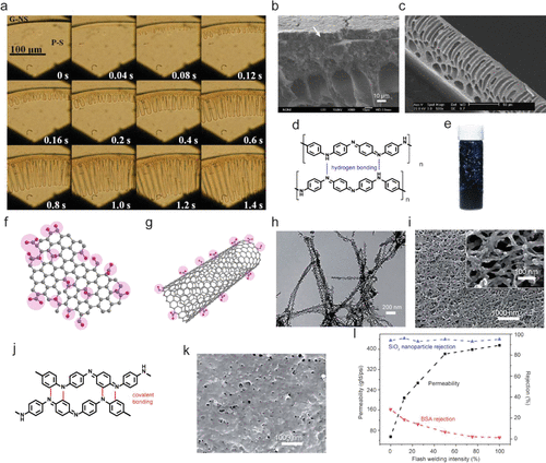《Nano Letters·综述》国立东华大学黄淑娟：防污超滤膜聚苯胺：解决方案和挑战的图4
