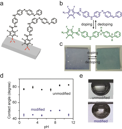 《Nano Letters·综述》国立东华大学黄淑娟：防污超滤膜聚苯胺：解决方案和挑战的图7