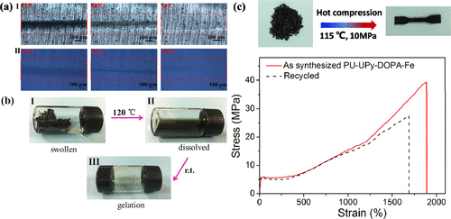 南开大学孙平川《ACS Macro Letters》生物启发的聚氨酯，具有带有协同动态键的多功能嵌段模块的图8