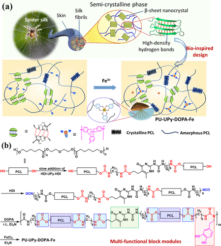 南开大学孙平川《ACS Macro Letters》生物启发的聚氨酯，具有带有协同动态键的多功能嵌段模块的图3
