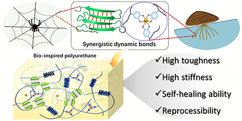 南开大学孙平川《ACS Macro Letters》生物启发的聚氨酯，具有带有协同动态键的多功能嵌段模块的图2