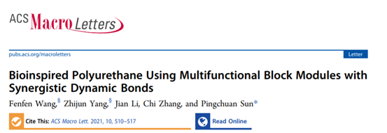 南开大学孙平川《ACS Macro Letters》生物启发的聚氨酯，具有带有协同动态键的多功能嵌段模块的图1