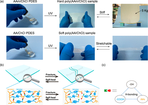 《CM》华南理工大学何明辉： 协同氢键相互作用的刚性、自修复、透明高分子聚合物的图3