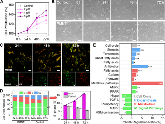 中科院动物所顾奇/化学所王树：营养不足环境中聚噻吩水凝胶的3D生物打印以促进干细胞增殖的图5