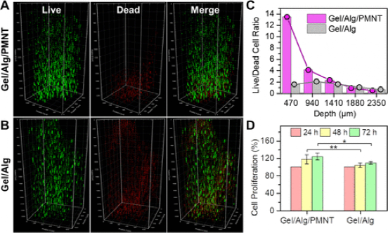 中科院动物所顾奇/化学所王树：营养不足环境中聚噻吩水凝胶的3D生物打印以促进干细胞增殖的图7