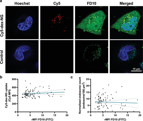 《先进材料》根特大学：阳离子水凝胶诱导的细胞膜破坏使膜不透物的直接胞质递送成为可能的图8