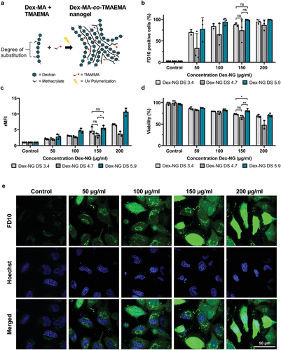 《先进材料》根特大学：阳离子水凝胶诱导的细胞膜破坏使膜不透物的直接胞质递送成为可能的图4