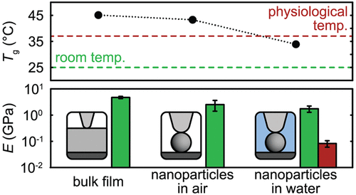 《Nano Letters》可生物降解的聚酯納米粒子的生理相關力學的圖1