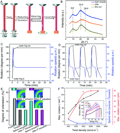 《Mater. Horiz.》南开大学刘遵峰:二硫键交联来调节传感器，开关和软机器人的头发人造肌肉的可逆性的图5